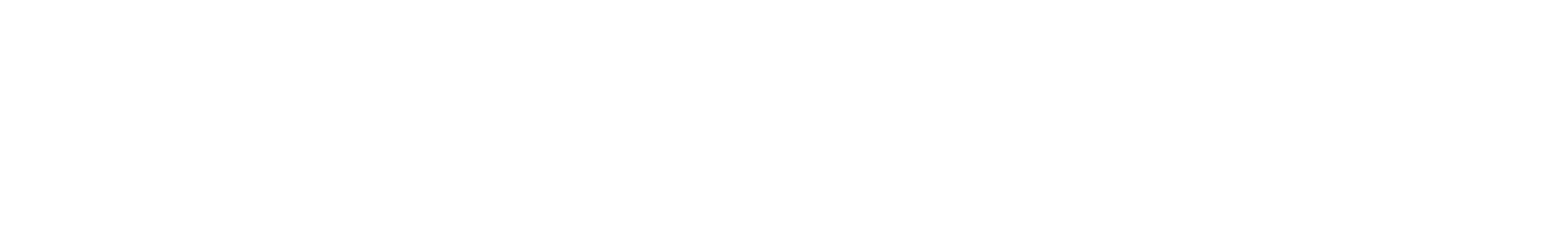 Bichler Gruppe Logo